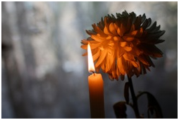Candle and Flower